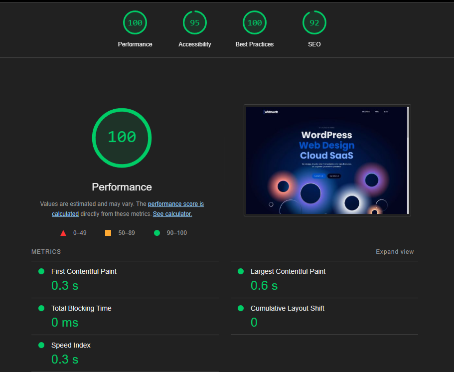 lighthouse-report-top